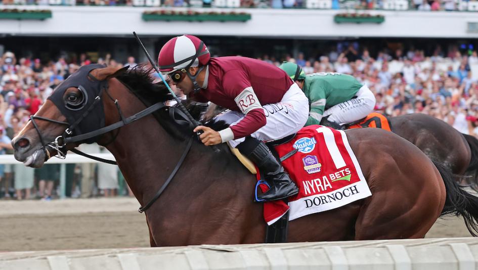 Dornoch, National Treasure, 2024 Longines Breeders' Cup Classic